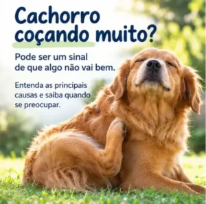 coçando