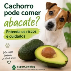Cachorro Pode Comer Abacate? Entenda os Riscos e Cuidados