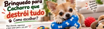 Chihuahua brincando com brinquedo resistente em formato de osso