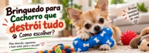 Chihuahua brincando com brinquedo resistente em formato de osso