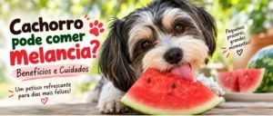 Cachorro com melancia em artigo sobre benefícios e cuidados