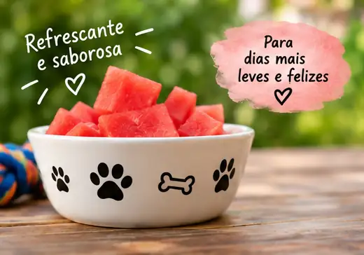 Pedaços de melancia servidos como petisco para cachorro