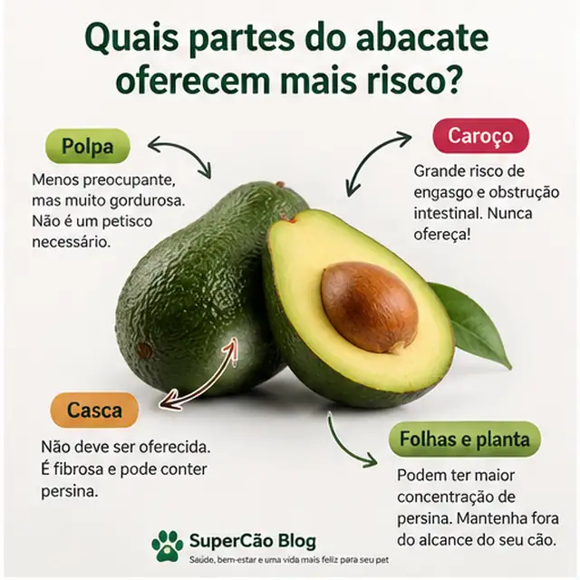 Partes do abacate e os cuidados para cães