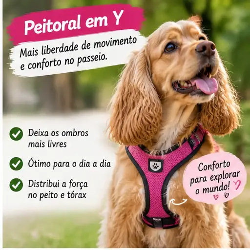 Cachorro usando peitoral em formato Y, com tiras posicionadas sobre o peito
