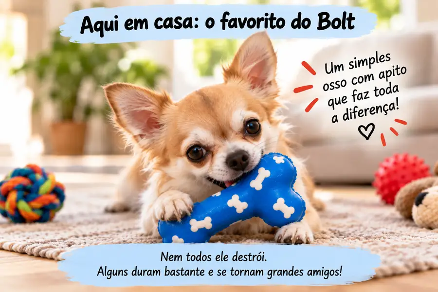 Cuidados importantes ao escolher brinquedos seguros para cachorro