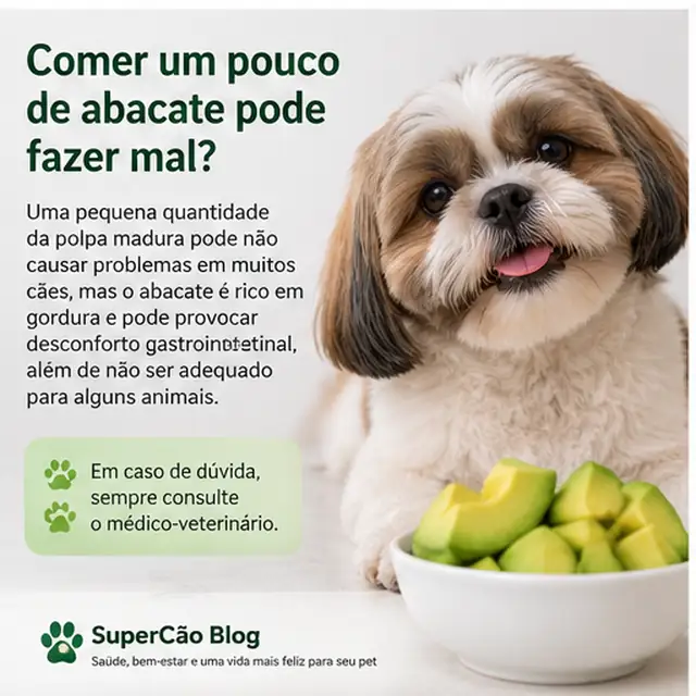 Cachorro próximo de pequena quantidade de abacate