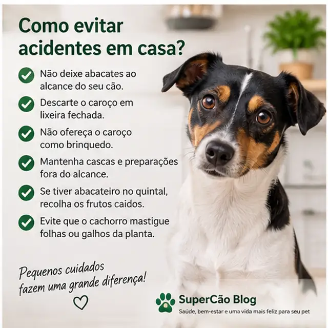 Cuidados para evitar que cachorro tenha acesso ao abacate