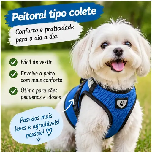 Cachorro usando peitoral tipo colete que envolve parte do tórax