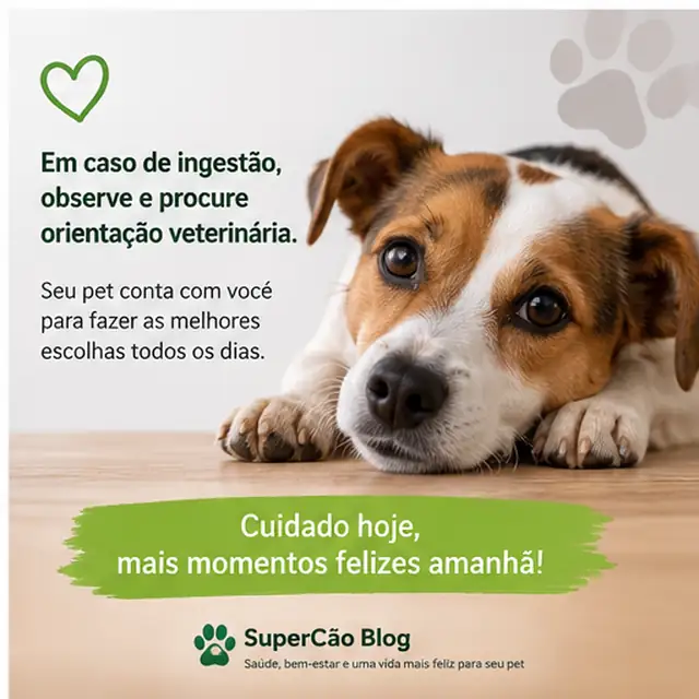 O que fazer quando cachorro come abacate