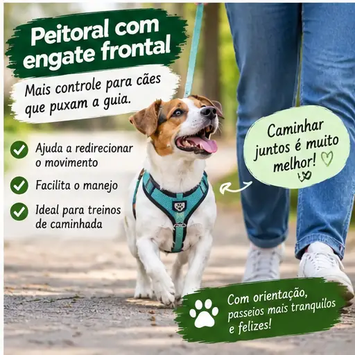 Cachorro utilizando peitoral com ponto de conexão frontal para a guia