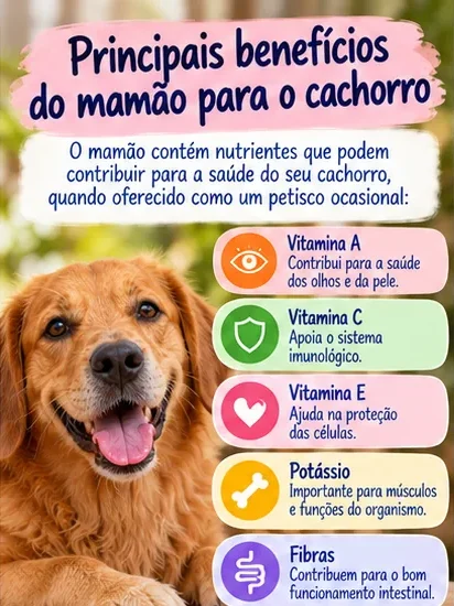 Principais benefícios nutricionais do mamão para cachorro, incluindo vitaminas, potássio e fibras