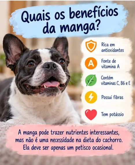 Nutrientes presentes na manga e orientação para oferecer a fruta ao cachorro apenas como petisco ocasional