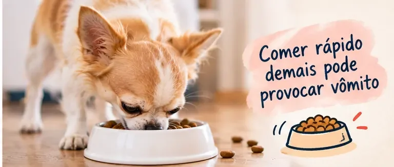 Cachorro comendo rápido demais, uma possível causa de vômito