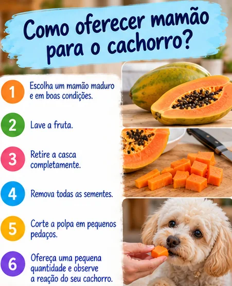 Passo a passo de como oferecer mamão para cachorro, retirando casca e sementes e cortando a polpa em pequenos pedaços