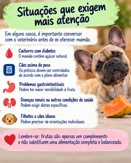 Situações que exigem mais atenção antes de oferecer mamão ao cachorro, incluindo diabetes, excesso de peso e problemas gastrointestinais