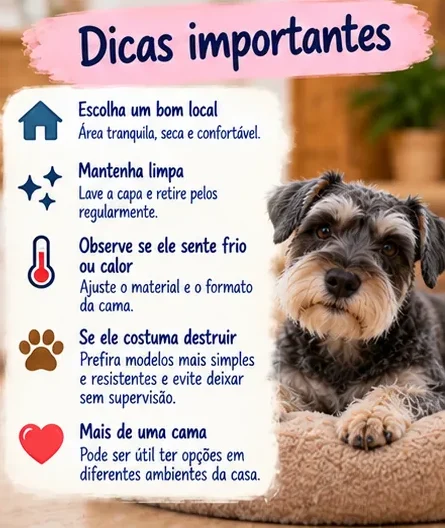 Dicas para escolher e cuidar da cama do cachorro, considerando local, limpeza, temperatura e resistência