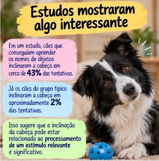 Cachorro inclinando a cabeça e dados de estudo sobre a relação entre o comportamento e o processamento de estímulos relevantes
