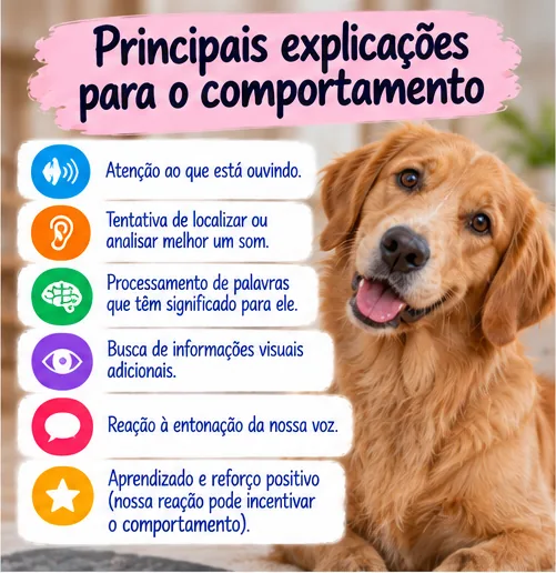 Principais explicações para o cachorro inclinar a cabeça, incluindo atenção, audição, processamento de palavras e reforço positivo