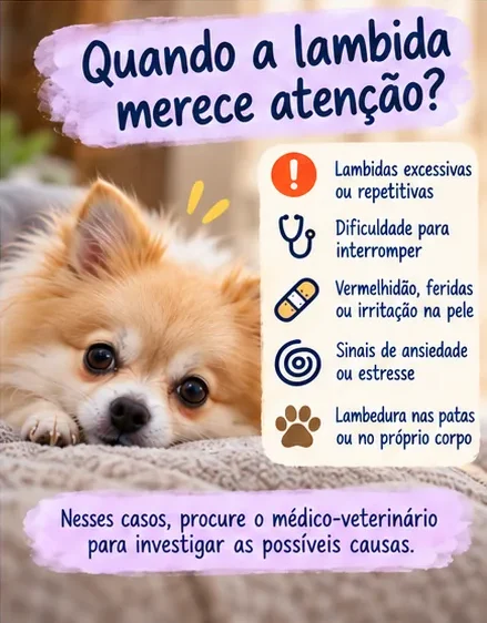 Sinais de atenção relacionados a lambidas excessivas ou repetitivas em cachorros