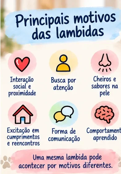 Principais motivos das lambidas dos cachorros, como atenção, cheiros e comunicação