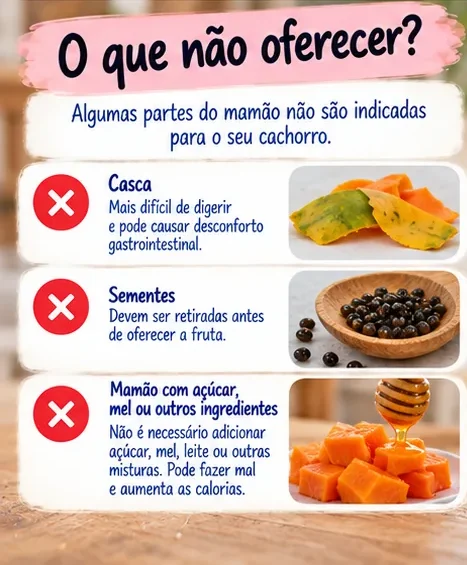Partes e preparações de mamão que não devem ser oferecidas ao cachorro, incluindo casca, sementes e misturas com açúcar ou mel