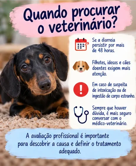 Orientações sobre quando procurar um veterinário para cachorro com diarreia