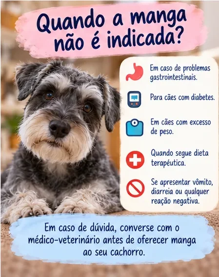 Situações em que é necessário cuidado antes de oferecer manga ao cachorro