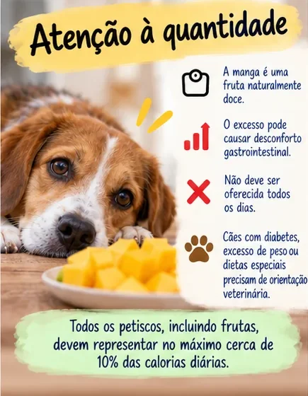 Orientações sobre a quantidade de manga para cachorro e moderação no consumo de petiscos