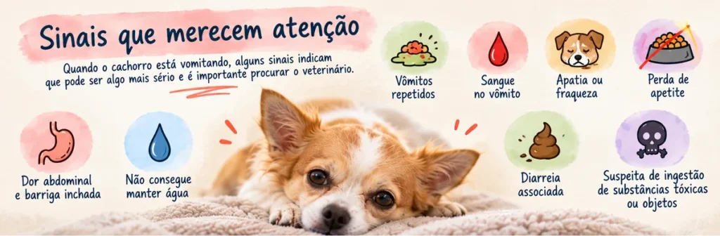 Sinais de alerta quando o cachorro está vomitando