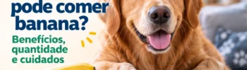 cachorro pode comer banana