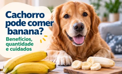 cachorro pode comer banana