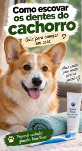 Como Escovar os Dentes do Cachorro: Guia Prático
