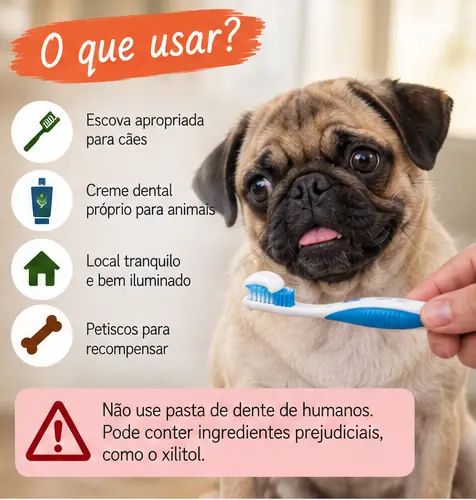 Escova e creme dental apropriados para a higiene bucal de cães