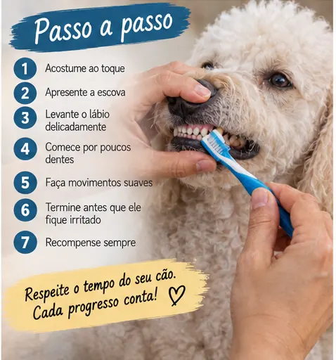 Tutor escovando delicadamente os dentes de um cachorro
