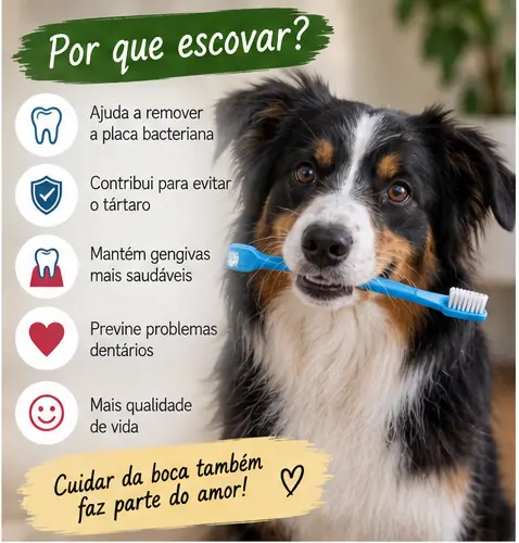 Cachorro durante cuidados preventivos de higiene bucal