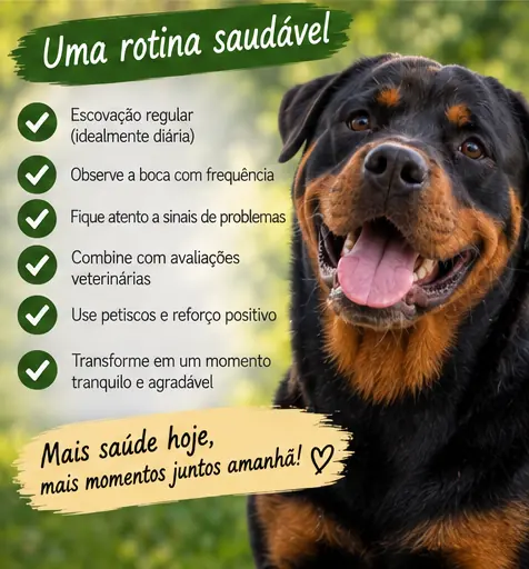 Cachorro saudável após rotina de cuidados com a higiene bucal