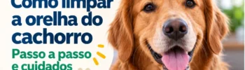 como limpar a orelha