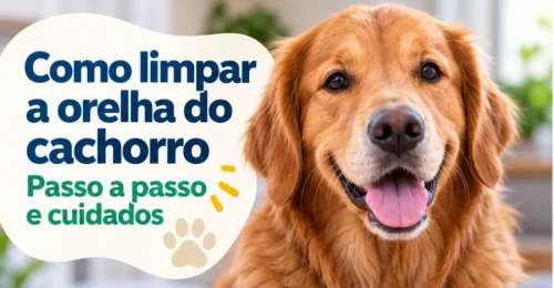 como limpar a orelha