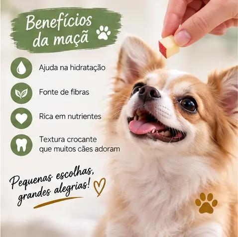 Cachorro próximo a pedaços de maçã preparados como petisco