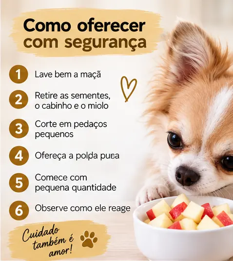 Pedaços pequenos de maçã preparados de forma adequada para cachorro