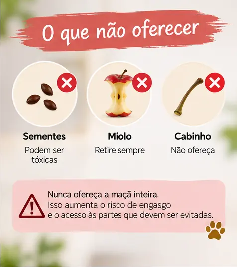 Maçã preparada mostrando sementes e miolo que devem ser retirados antes de oferecer ao cachorro