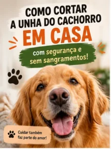 Como Cortar a Unha de Cachorro em Casa com Segurança e Sem Sangramentos
