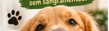 Como Cortar a Unha de Cachorro em Casa com Segurança e Sem Sangramentos